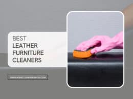 Best Leather Furniture Cleaners