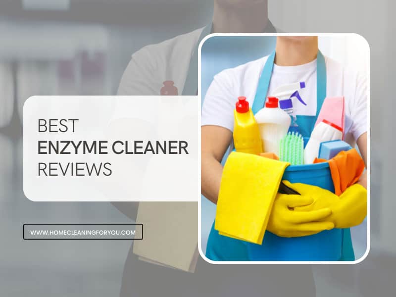 Best Enzyme Cleaners