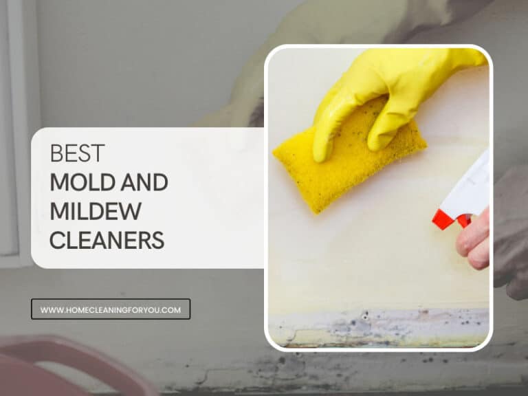 Best Mold And Mildew Cleaners