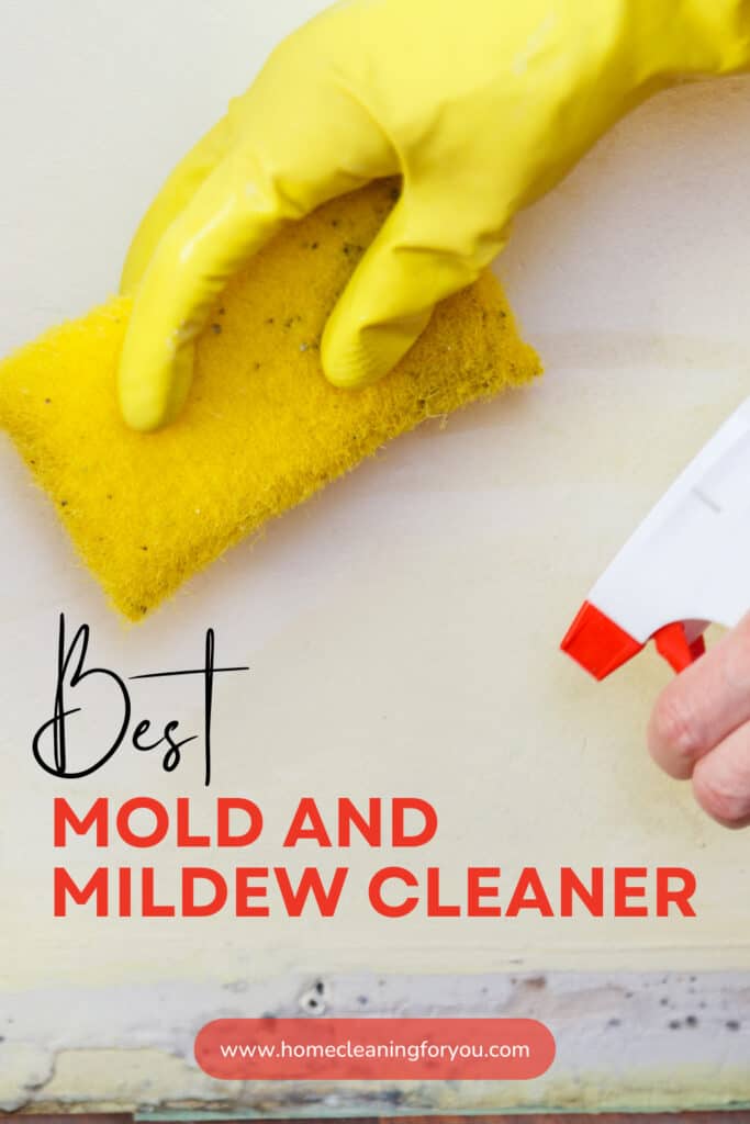Best Mold And Mildew Cleaners