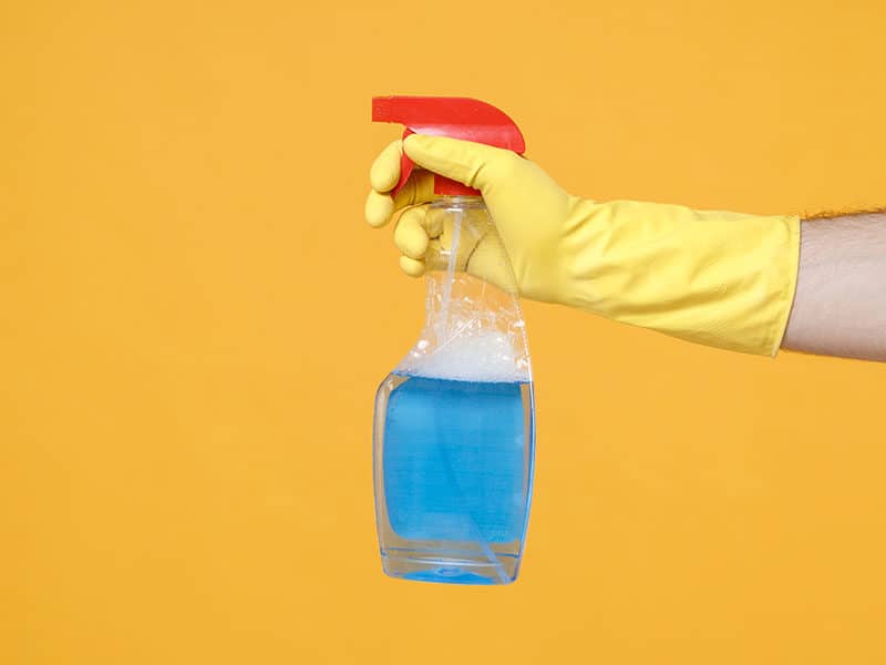 Enzyme Cleaner