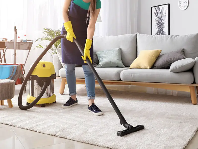 Top 15 Best Vacuums for Area Rugs To Buy with Reviews 2024
