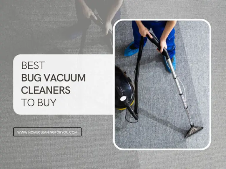 Top 15 Best Bug Vacuum Cleaners To Buy 2024