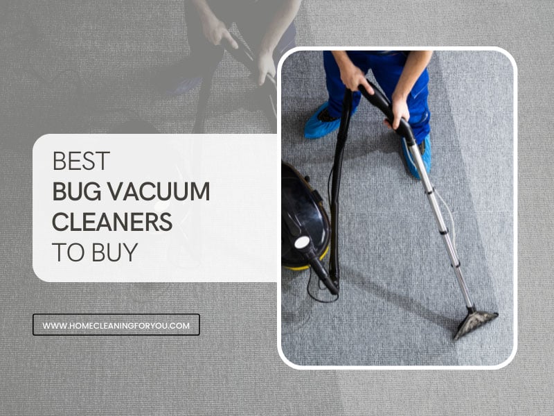 Best Bug Vacuums