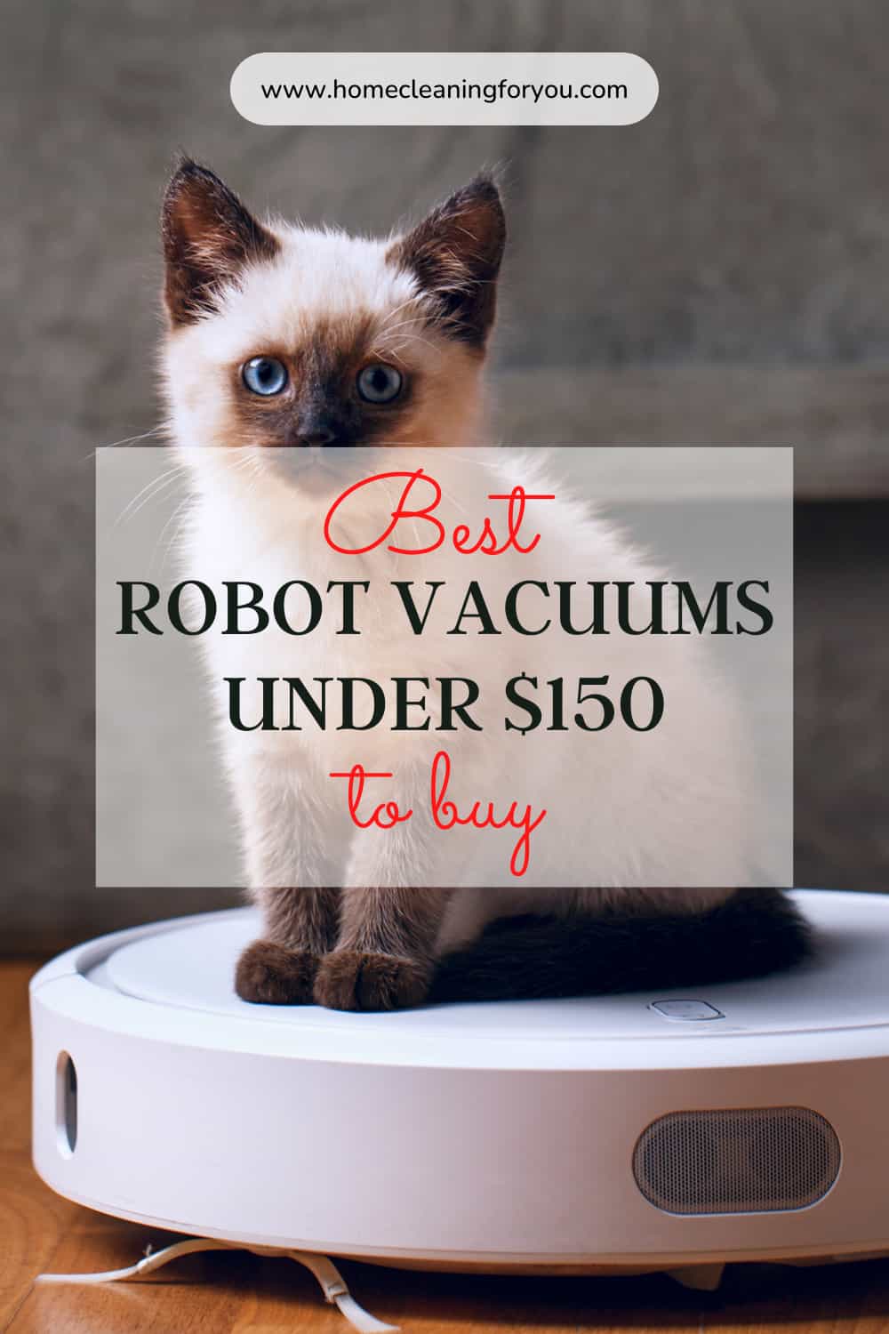 Top 15 Best Robot Vacuum Under 150 to Buy 2024