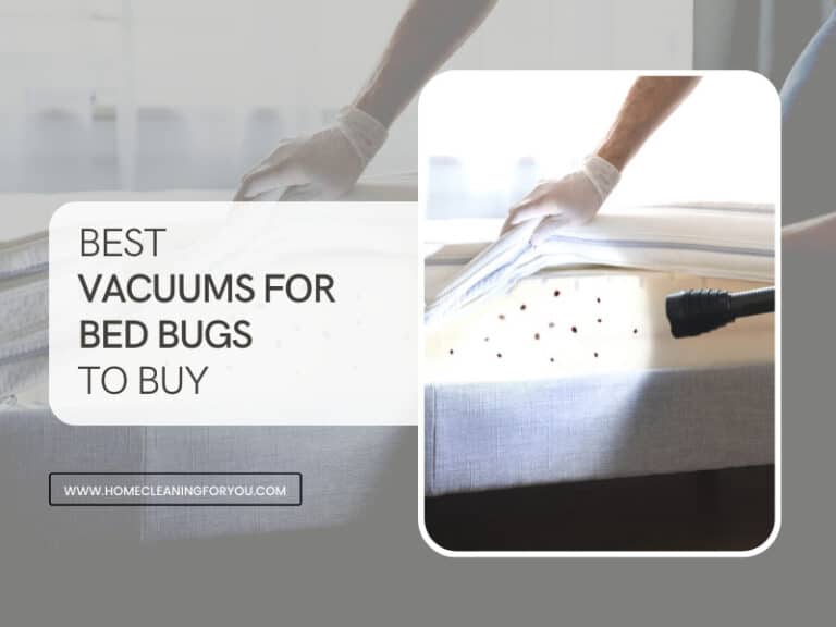 Top 15 Best Vacuums for Bed Bugs To Buy 2024