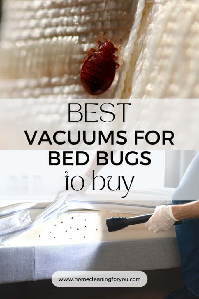 Best Vacuums For Bed Bugs