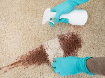 Best Carpet Cleaner Spray