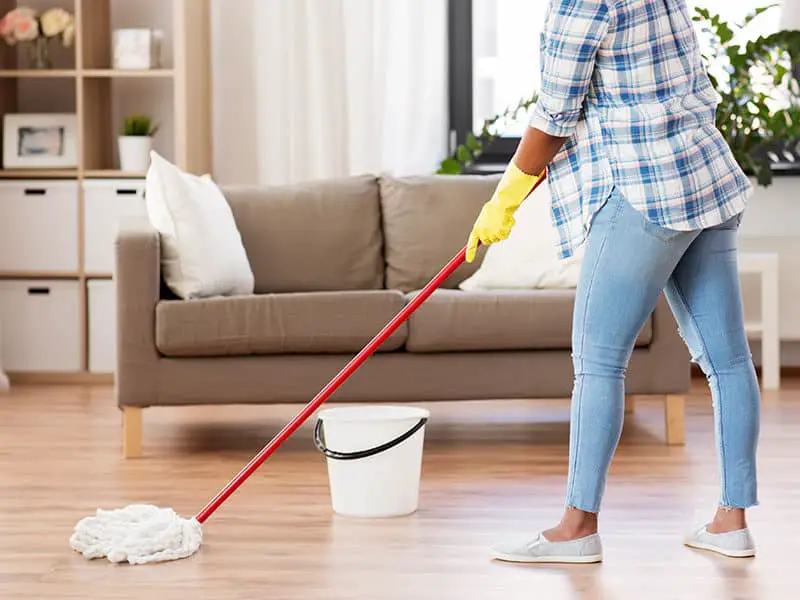 Mops for Laminate Floor