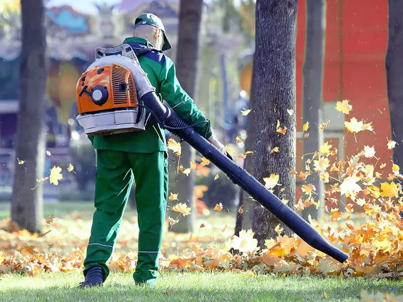 Top 15 Best Backpack Vacuum Cleaners Reviews 2021
