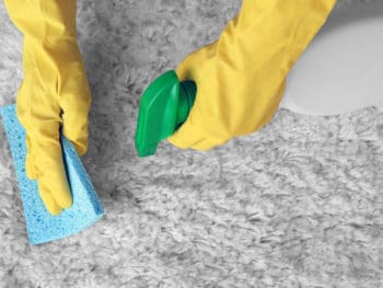 Best Carpet Deodorizers