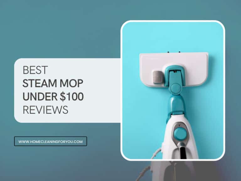 Top 15 Best Steam Mop Under $100 Reviews 2024