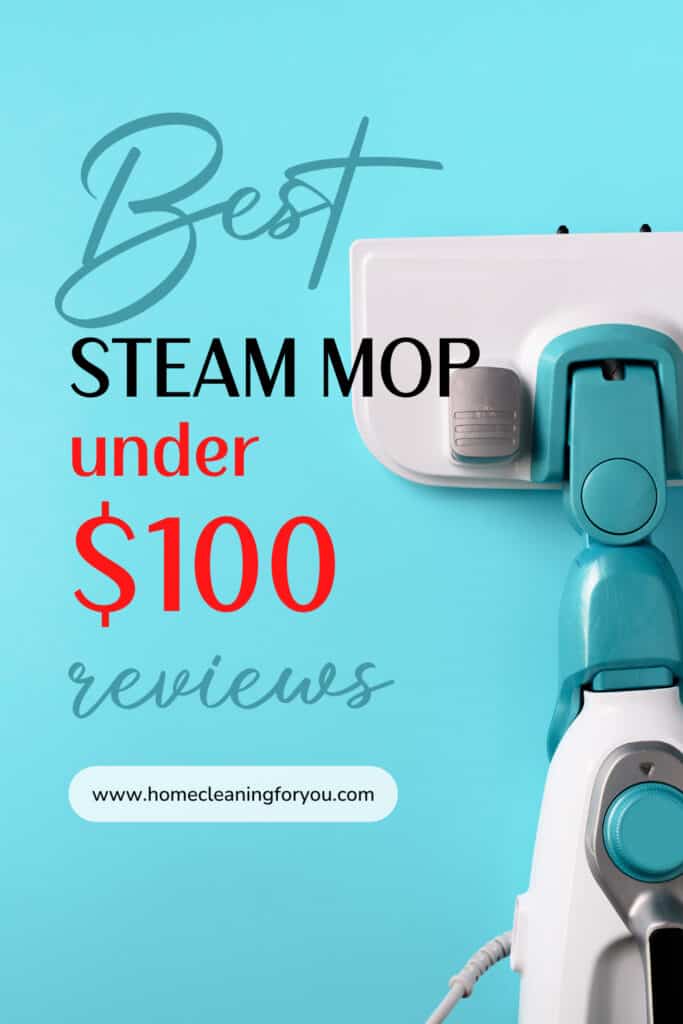 Best Steam Mops Under 100
