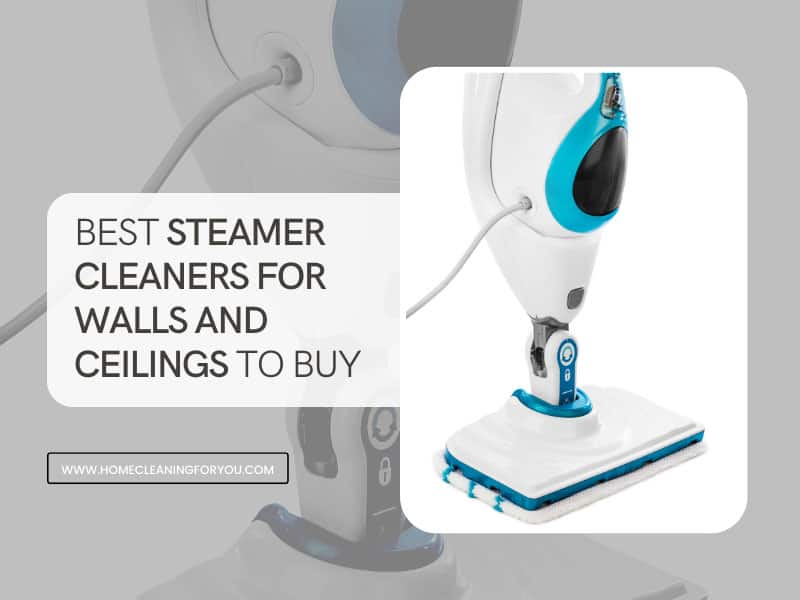Best Steamer Cleaners For Walls And Ceilings