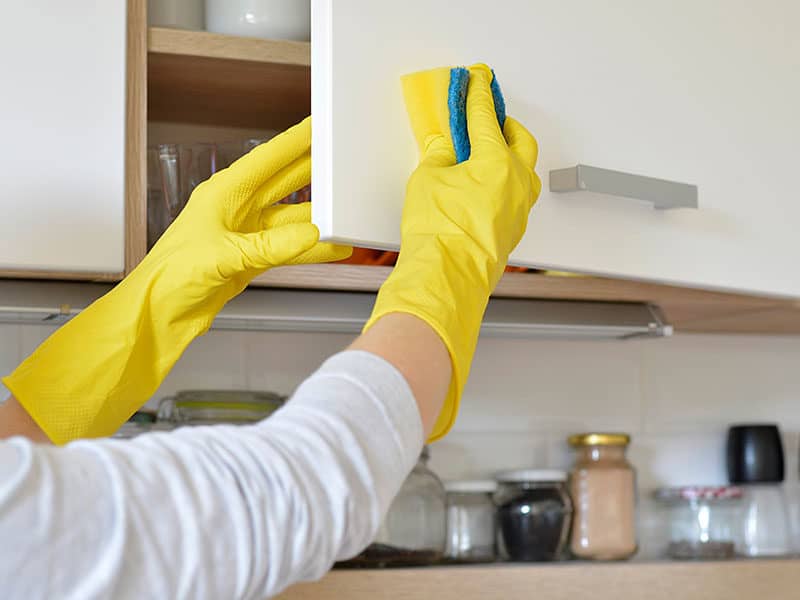 Kitchen Cabinet Cleaners