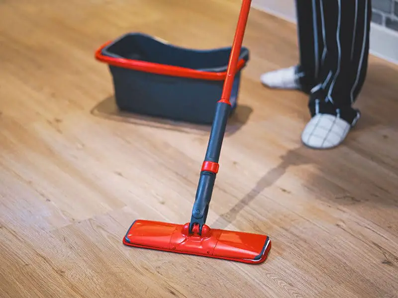 Mop for Vinyl Floor