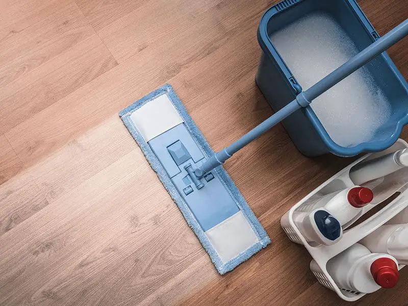 Mops for Linoleum Floors