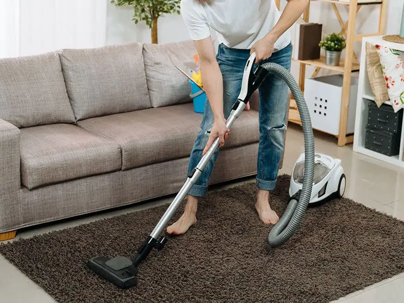 Top 15 Best Vacuums for Wool Carpet To Buy 2025