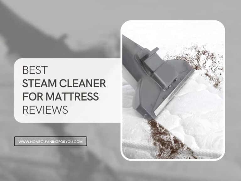 Best Steam Cleaner For Mattress