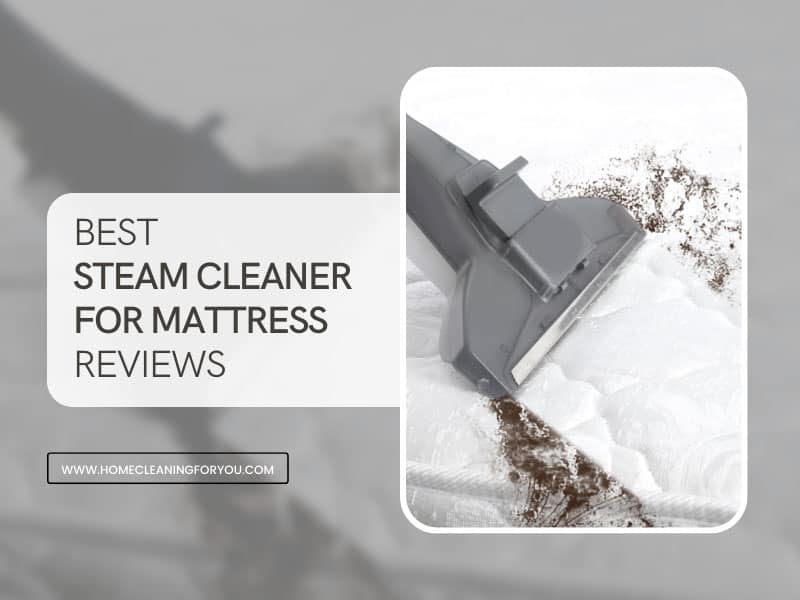 Best Steam Cleaner For Mattress