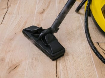 Best Steam Cleaner for Pet Stains