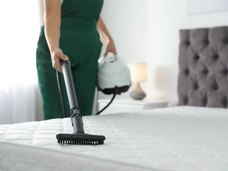 Steam Cleaner for Mattress 