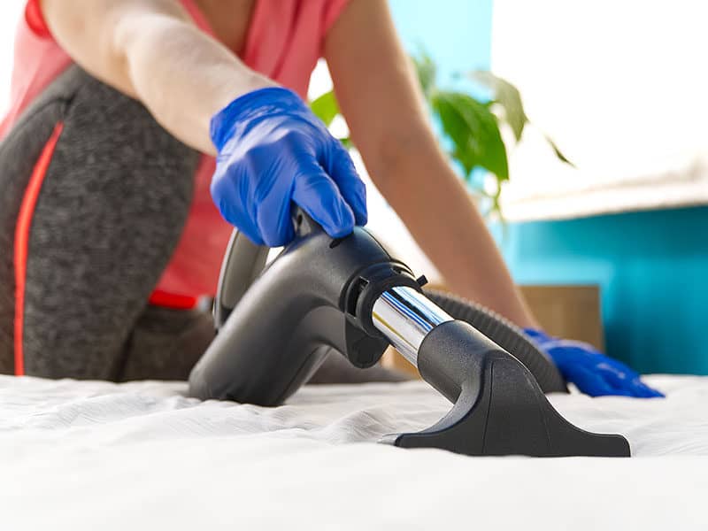 Steam Cleaner for Mattress 