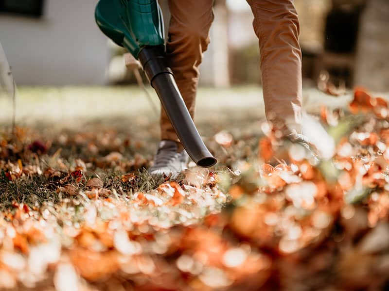 Leaf Vacuum Mulcher