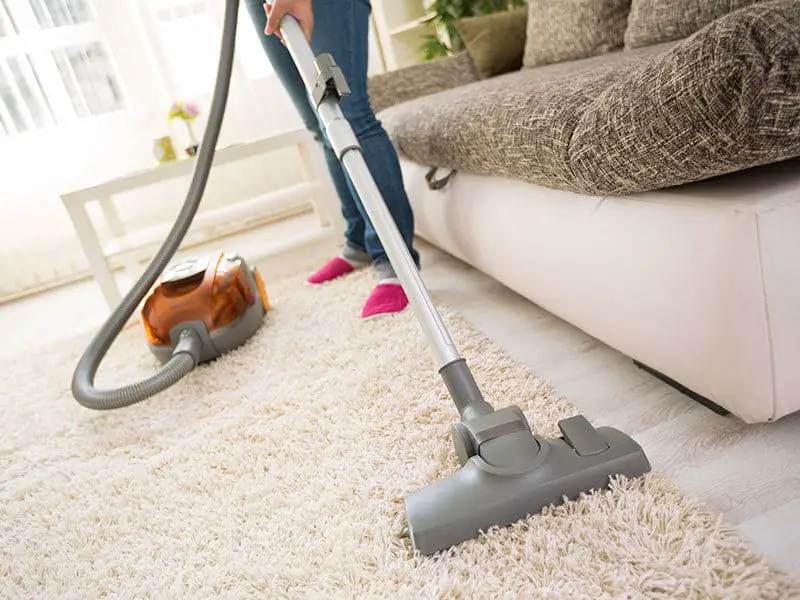 Vacuum for Frieze Carpet 