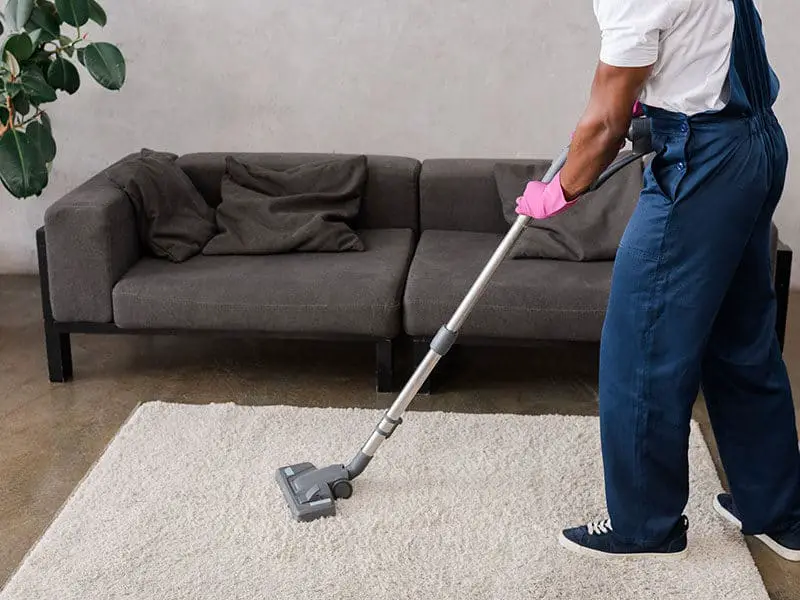 Vacuum for Frieze Carpets 