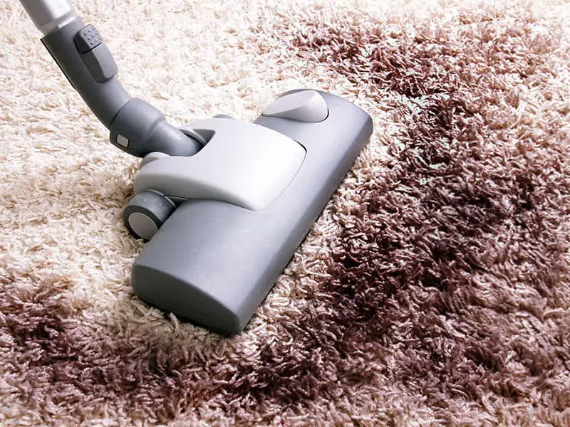 Vacuum for Shag Carpets