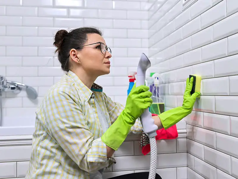 Bathroom Cleaning with Steam