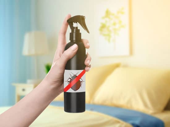 bed bug spray cvs