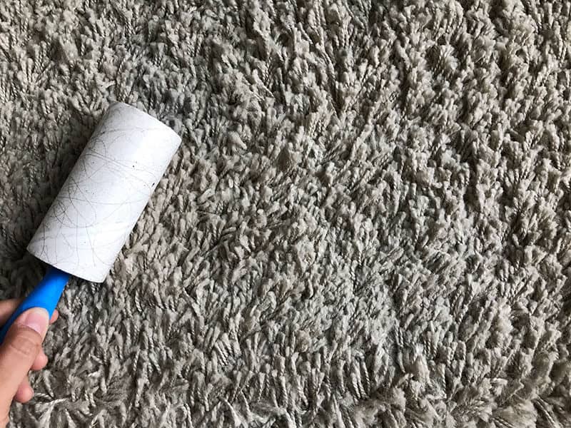 Clean by Lint Roller