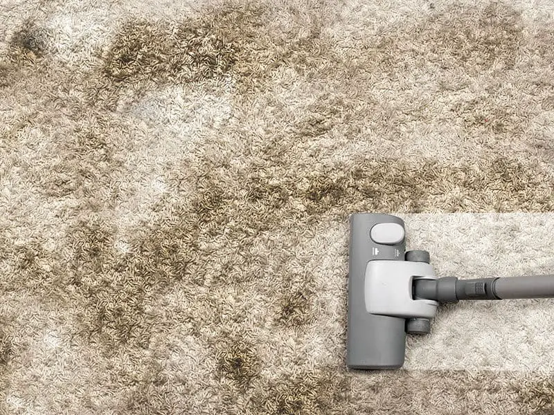 How To Clean Berber Carpet Berber Carpet’s Cleaning Tips 2021