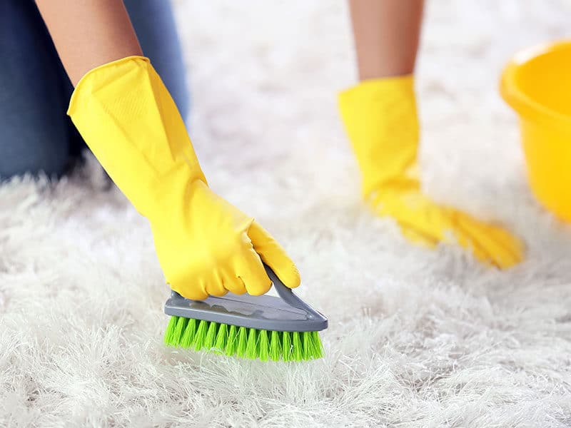 Cleaning the Carpet by Brush