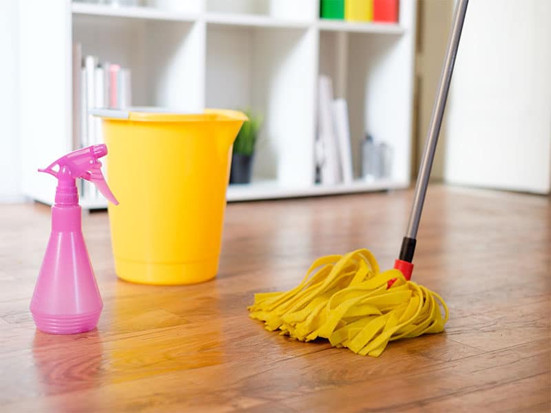 Cleaning Tools Parquet Floor