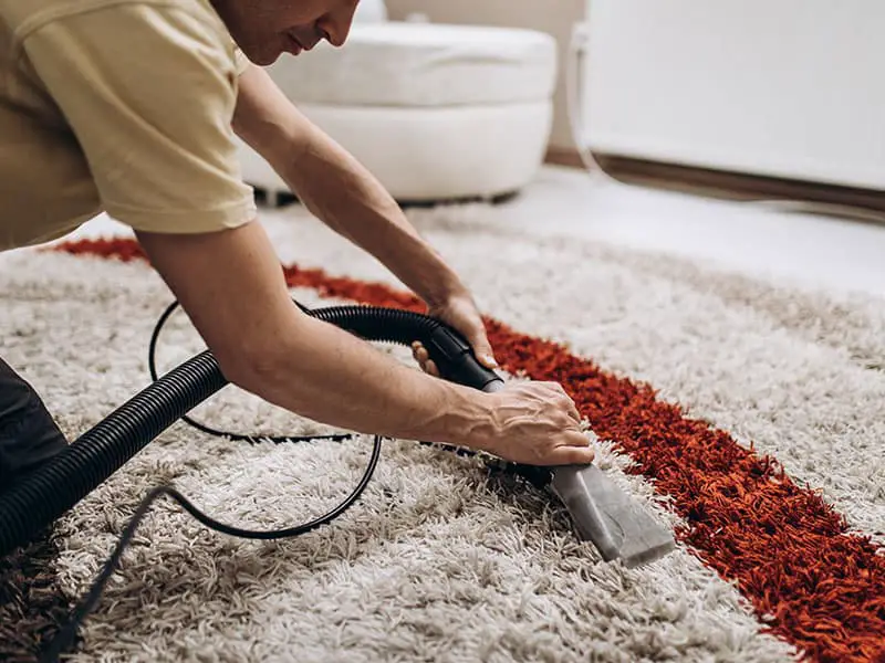 How To Clean Berber Carpet Berber Carpet’s Cleaning Tips 2021