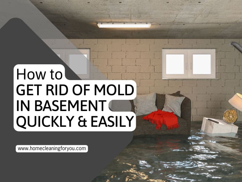 Get Rid Of Mold In Basement