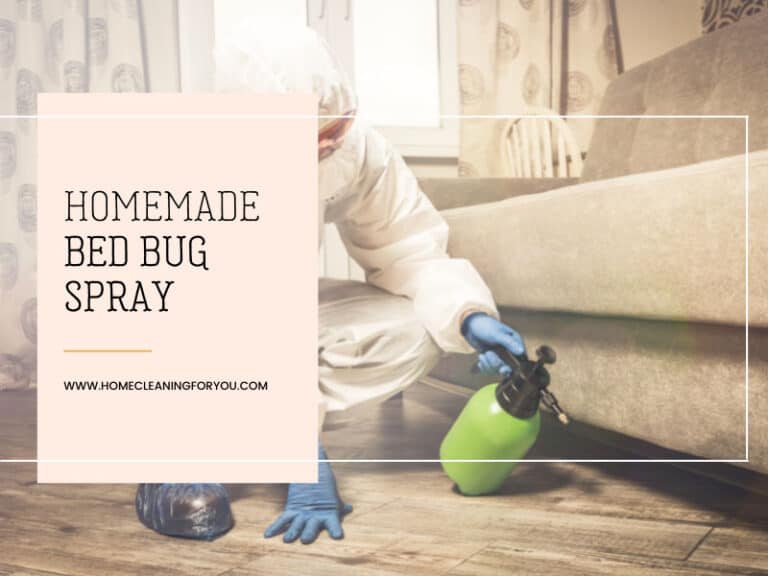 Homemade Bed Bug Spray