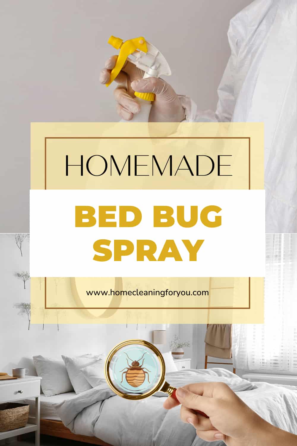 Homemade Bed Bug Spray The Only Recipe You Will Ever Need 2024