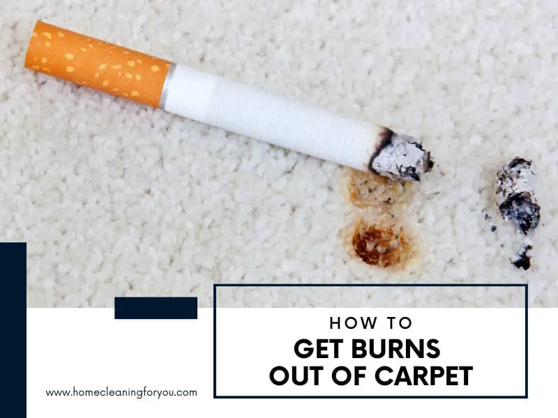 How To Get Burns Out Of Carpet