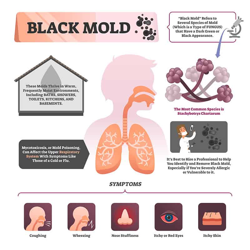 Illustration Labeled Symptoms