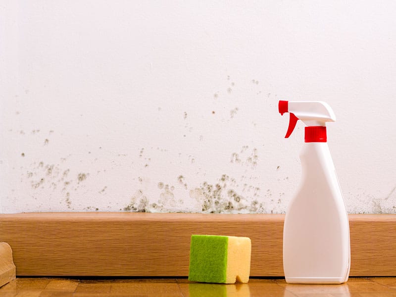How to Clean Nicotine Off the Walls and Ceilings?