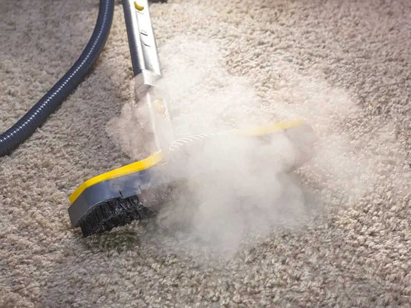 How To Clean Berber Carpet Berber Carpet’s Cleaning Tips 2021