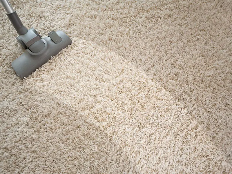 How to Get Rid of Vacuum Cleaner Smells The Complete Guide