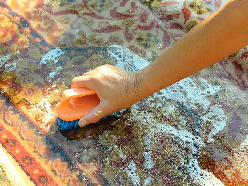 How To Clean Berber Carpet Berber Carpet’s Cleaning Tips 2021