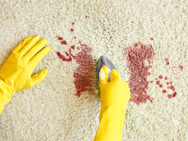 Hands Rubber Gloves Cleaning Carpet