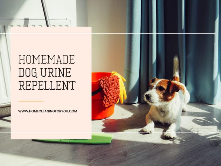 Homemade Dog Urine Repellent: The Complete Guide