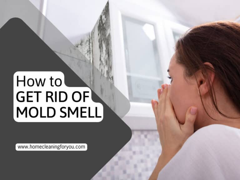 How To Get Rid Of Mold Smell: Must-Know Guidelines